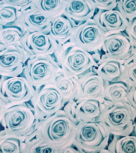 Printed Mini-Matt - Roses - Mint