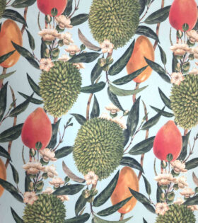 Rpet Eco-Friendly Canvas - Prickly Pear