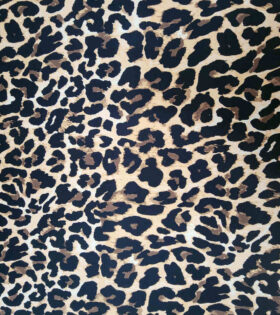 Printed DTY - Natural - Tan