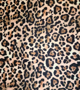 Digital Printed Duchess Satin - Natural