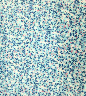 Cotton Gauze - Floral