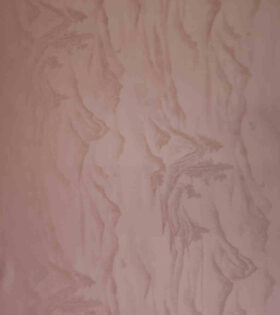 Jacquard Silk Satin - Coral