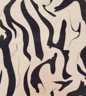 Printed Plisse Satin - Blush