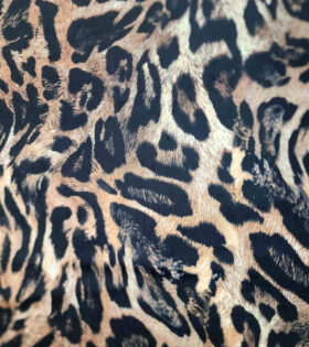 Lucas Upholstery - Jet