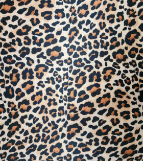Digital Printed Duchess Satin - Natural