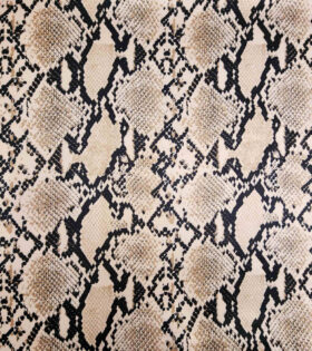Digital Printed Duchess Satin - Natural