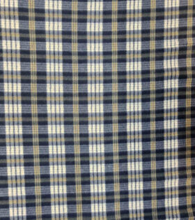 Polar Fleece - Check