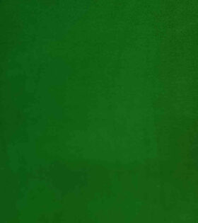 Sherpa Bonded Fleece - Emerald