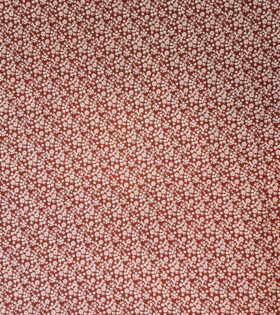Printed Cotton Poplin - Brick
