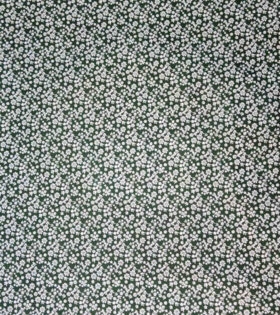 Printed Cotton Poplin - Green