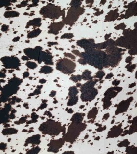 Printed Moroccan Satin - Brown