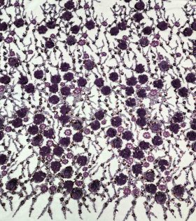 Reimah Beaded Tulle - Plum