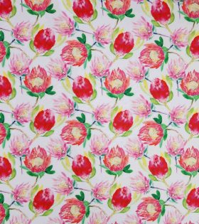 Printed Mini Matt - Protea - White