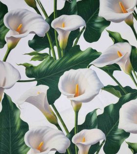 Printed Satin - Arum Lily - White