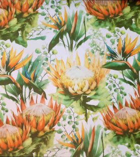 Printed Mini Matt - Protea - White