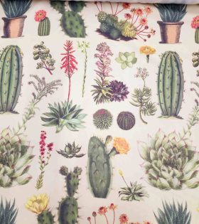 Printed Mini Matt - Succulents - Cream