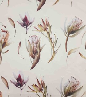Canvas Outdoor  - Protea - Cream